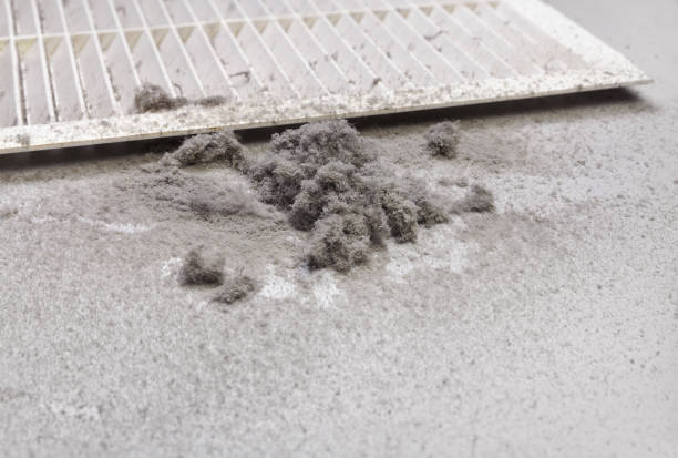 Best HVAC System Cleaning  in Dillon, MT