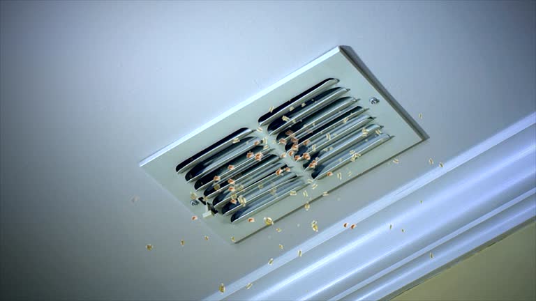 Best Professional Duct Cleaning Services  in Dillon, MT