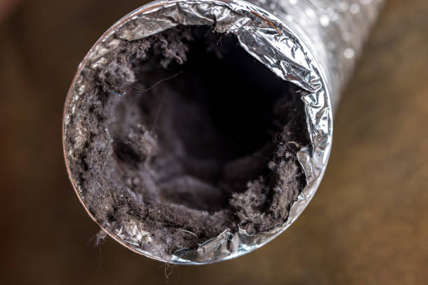 Best Commercial Air Duct Cleaning  in Dillon, MT